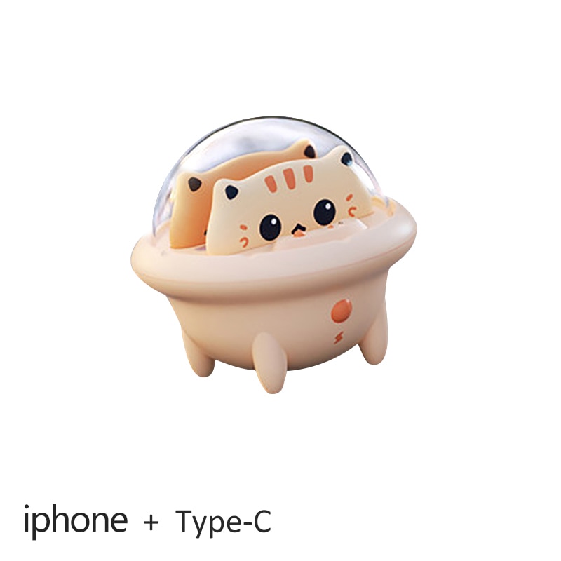 iPhone, Type-C
